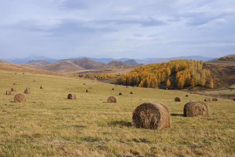 Осенний пейзажphoto preview