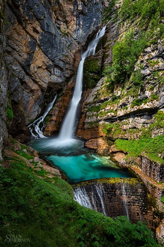 Савицаphoto preview