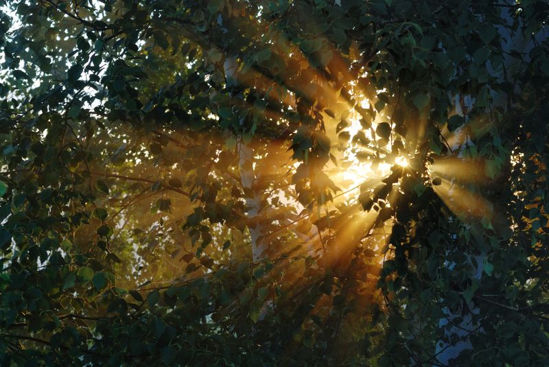 Луч солнца золотогоphoto preview