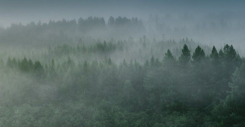 Одним утром фото превью