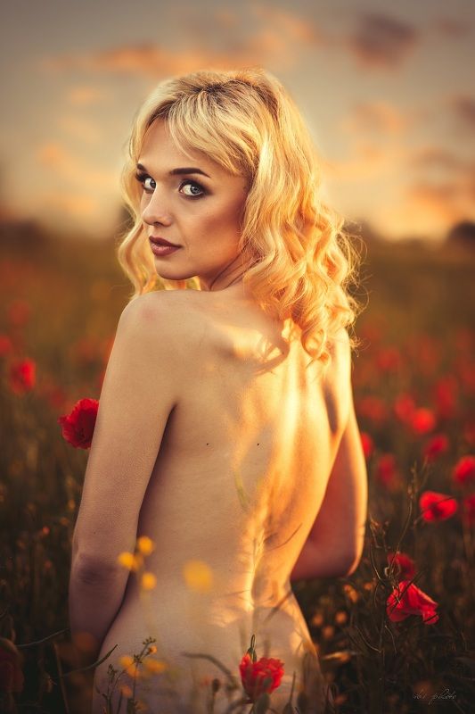 portrait, woman, blonde Golden hourphoto preview