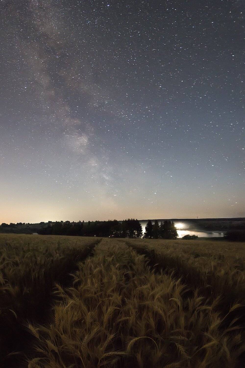 Автор: Виталий Стрельцов , Виталий Стрельцов