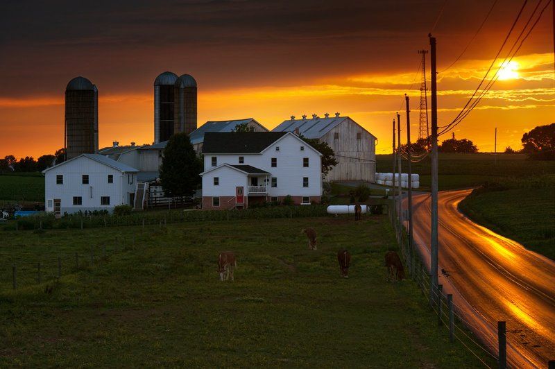 Sunshine Roadphoto preview