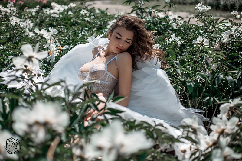 Ангелphoto preview