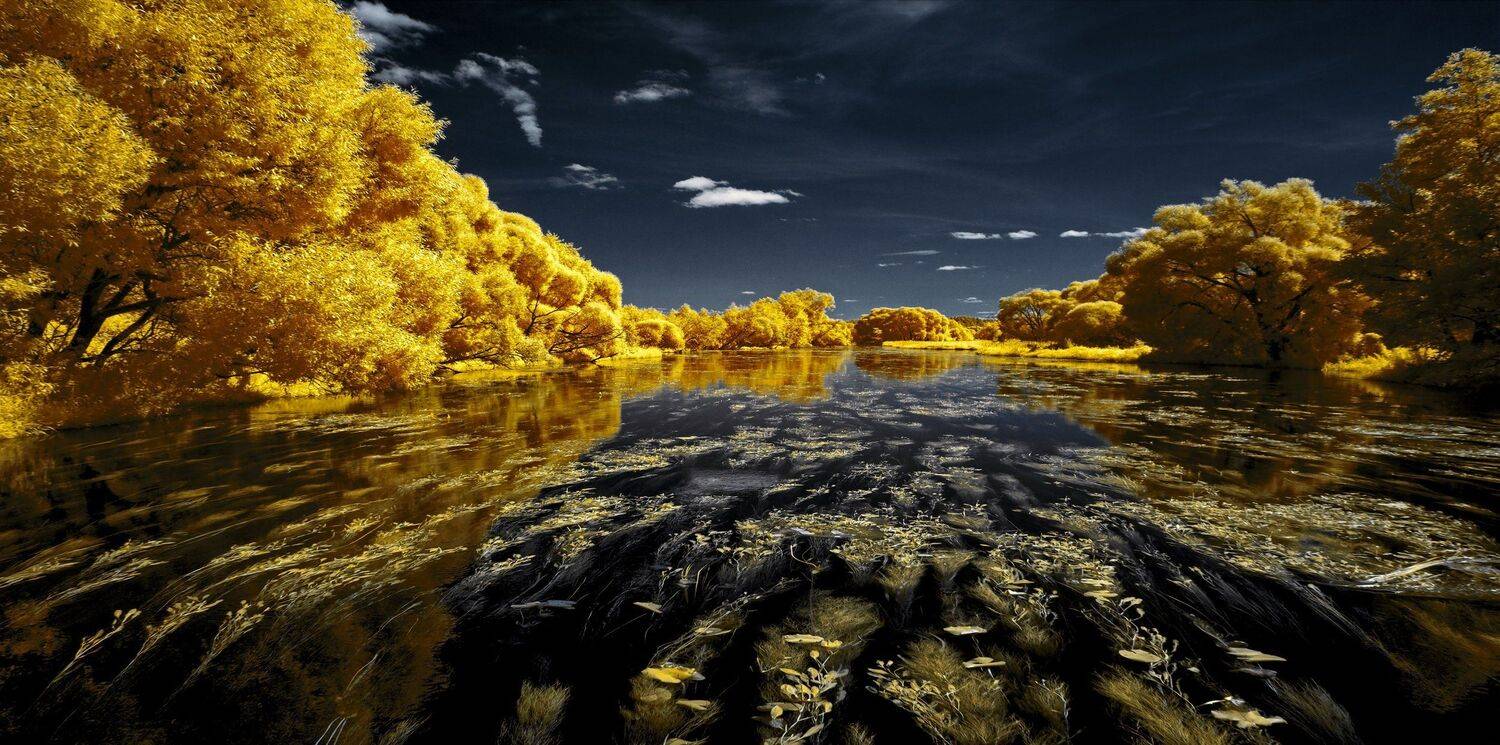 Золотое течение. Инфракрасная фотография.. Автор: Sixten ( Сергей ) infrared,ик-фото,инфракрасное фото,инфракрасная фотография,пейзаж,природа,беларусь,лето, Sixten ( Сергей )