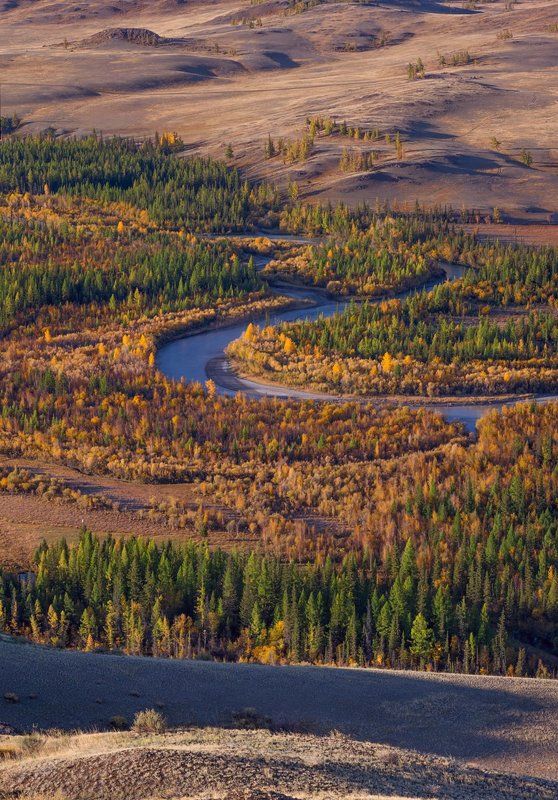 С добрым утром…photo preview