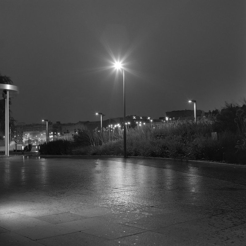 парк. вечер. \