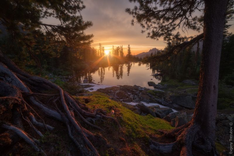 ергаки, природа, пейзаж, саяны, облака, горы, лето, сибирь, вечер, закат, небо, каменный замок, лазурное, красноярск, западные саяны, лес, деревья, солнце Корни саянских горphoto preview