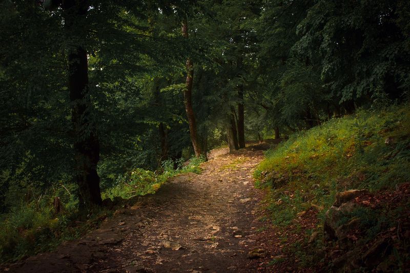 Тропки разные...photo preview