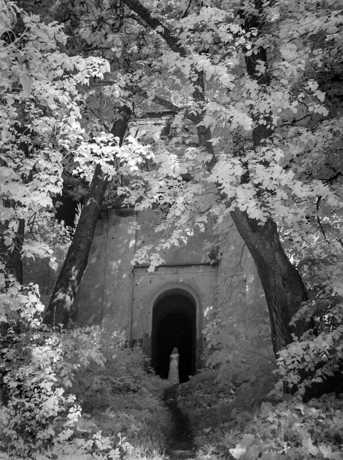 , Ольга Аристова