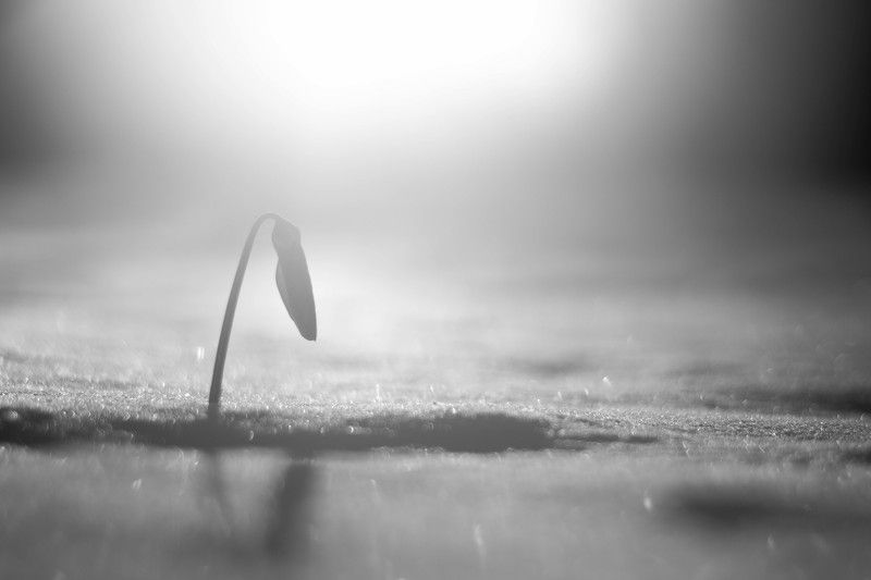 Рассветphoto preview