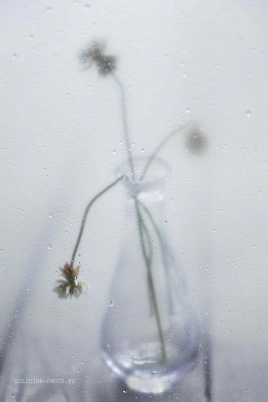 Безмолвие фото превью