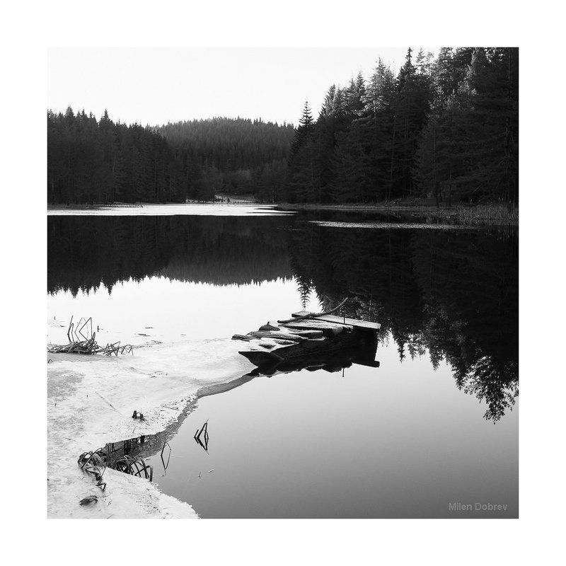 winter, snow, ice, b&w ***photo preview