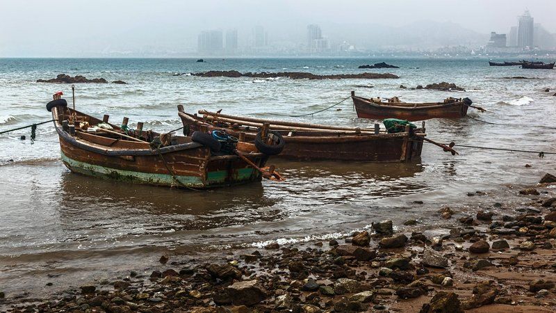 Ожидание вечернего промыслаphoto preview