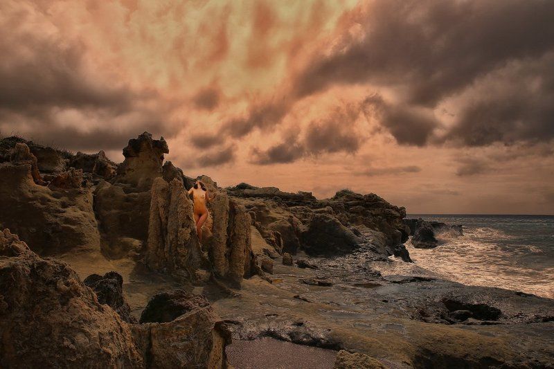 fossil, fossil forest, sea, clouds, rock, stone, stoned trees, Mystikphoto preview
