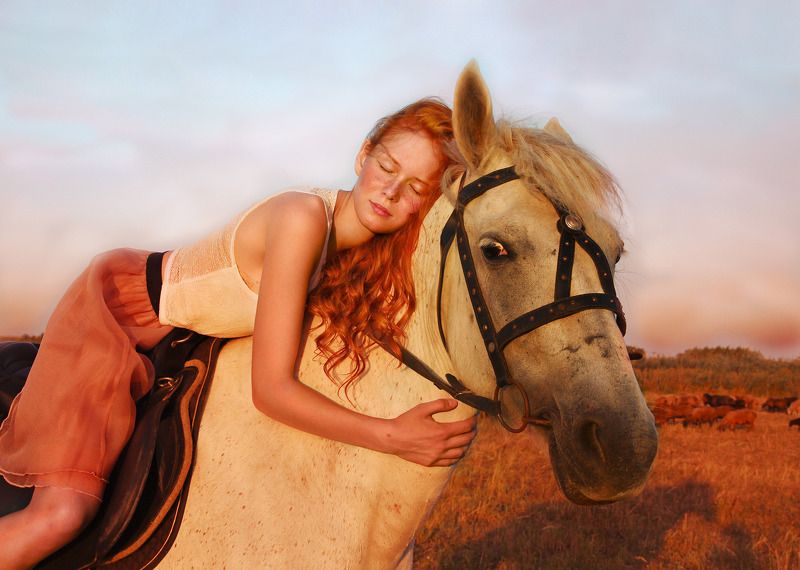 Красивые и лошадиphoto preview