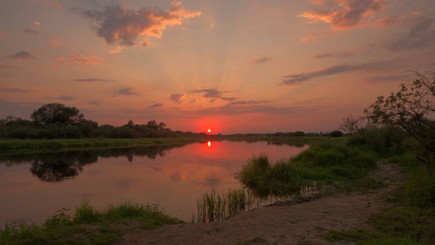 , Михаил Кушнер