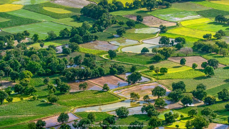 Co To rice fieldsphoto preview