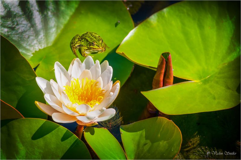 сказкаphoto preview