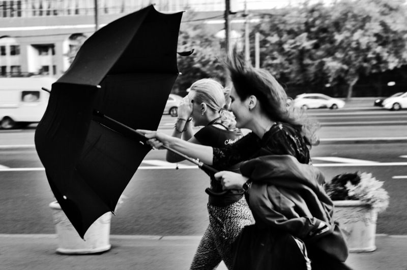 Не страшны нам ни ветер ни дождьphoto preview