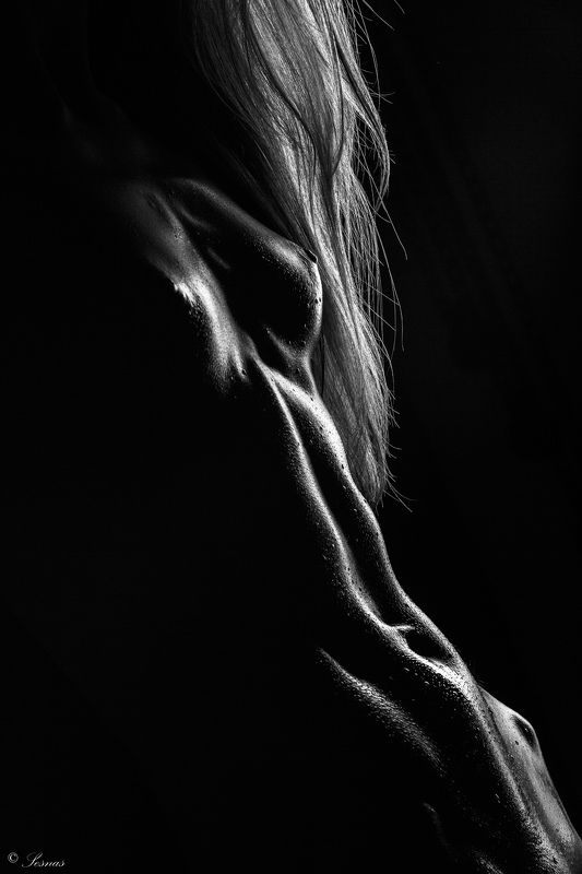 Reflections and shadowsphoto preview