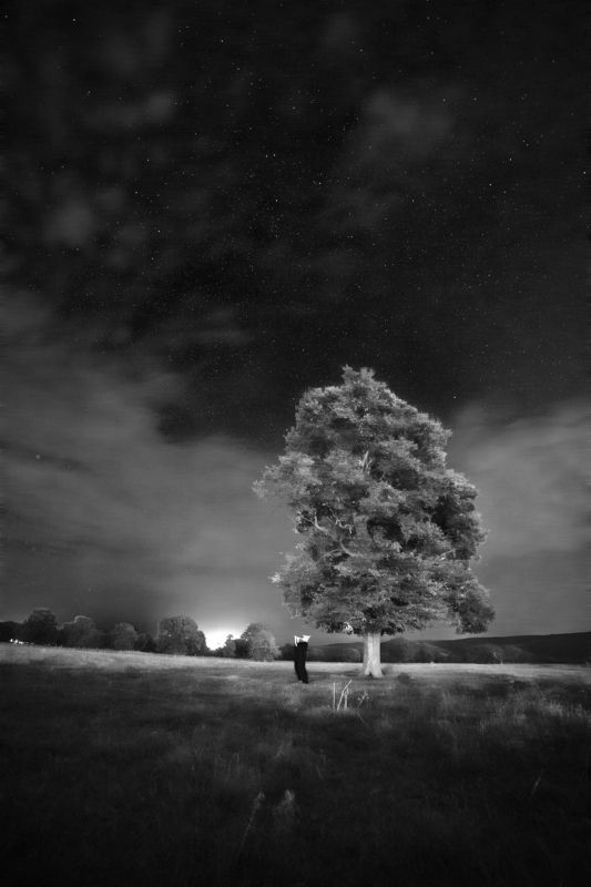 nightscapes, tree, celtic, fairytales, elf, forest, BnW, black and white, cloudy Кельтская сказка.photo preview