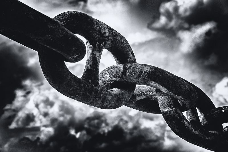 на свободу нет надеждphoto preview