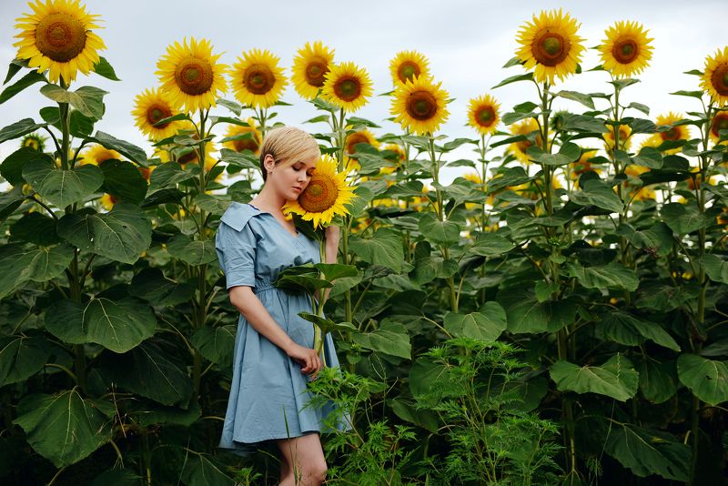 Девушка, поле, подсолнухи, подсолнух Музыкальнаяphoto preview