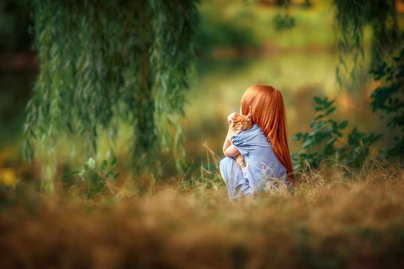 Рыжикиphoto preview