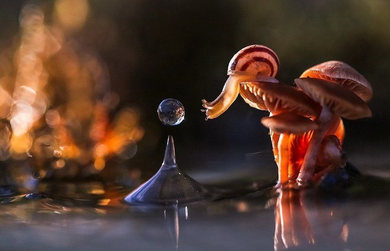 Познаниеphoto preview