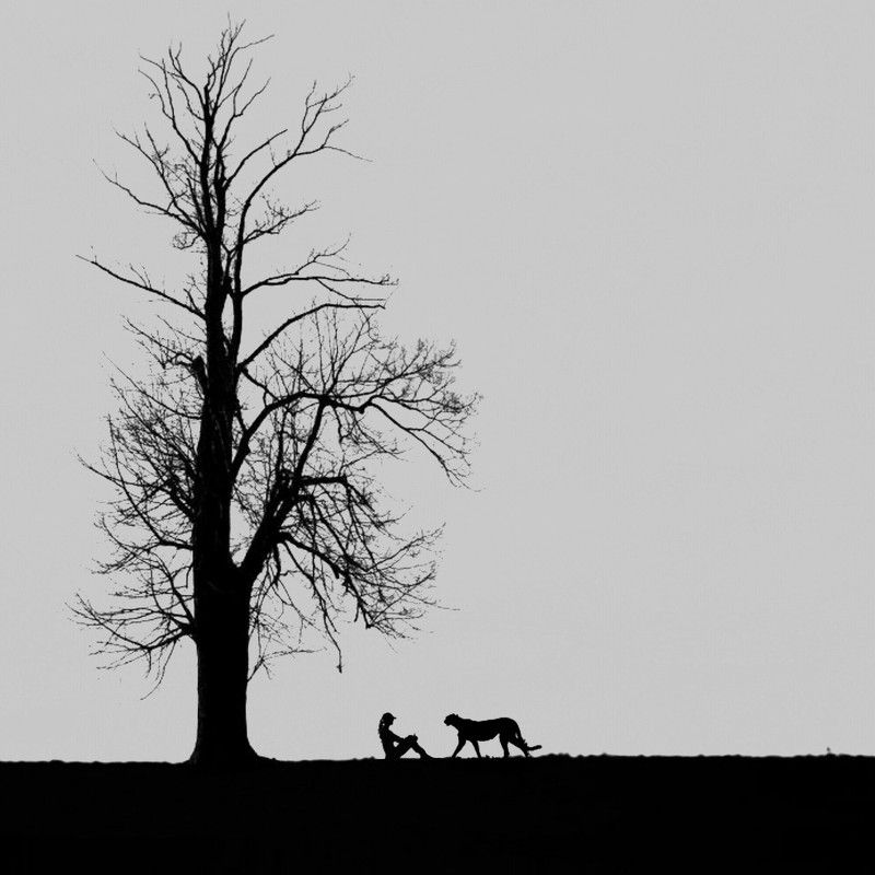 My friendphoto preview