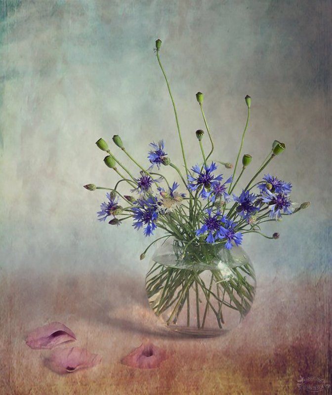 Cztery pory roku - Latophoto preview