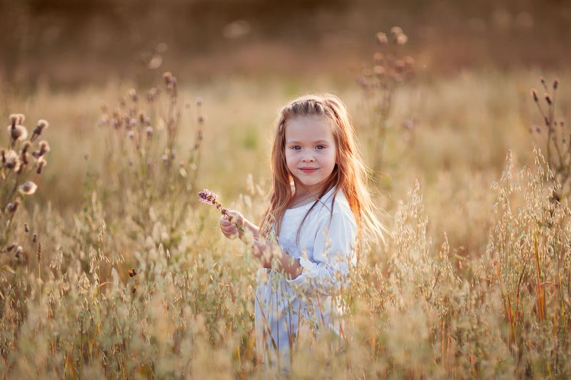 девочка, ребенок, зерновое поле, девочка в поле Овсяное полеphoto preview