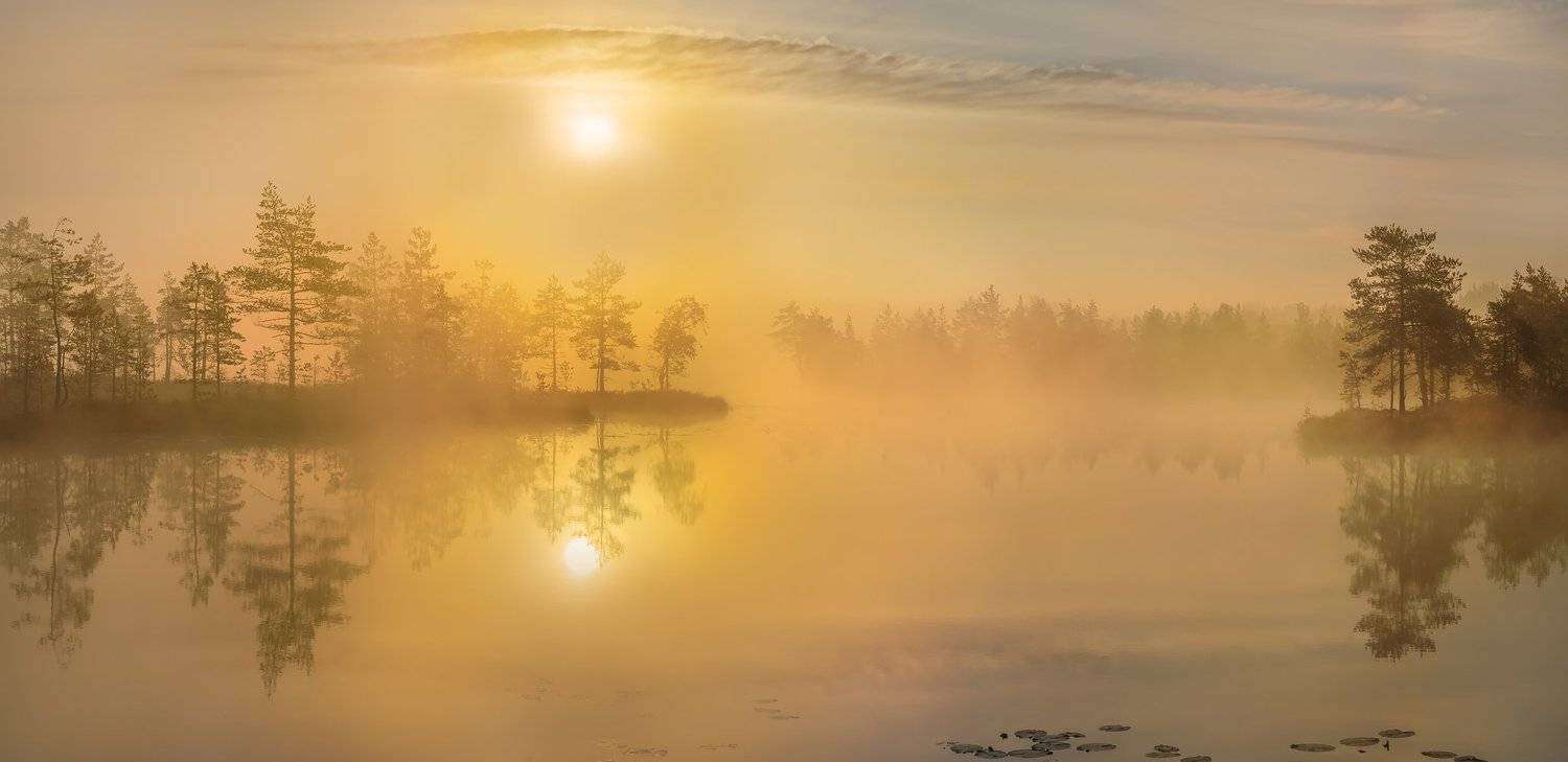 фототур, лето,  ленинградская область, деревья, сосна, остров, озеро, рассвет, туман, солнце, отражение., Лашков Фёдор