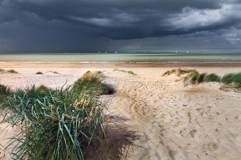 северное море, шторм, бельггия, дюны, пляж, *Дюны*photo preview
