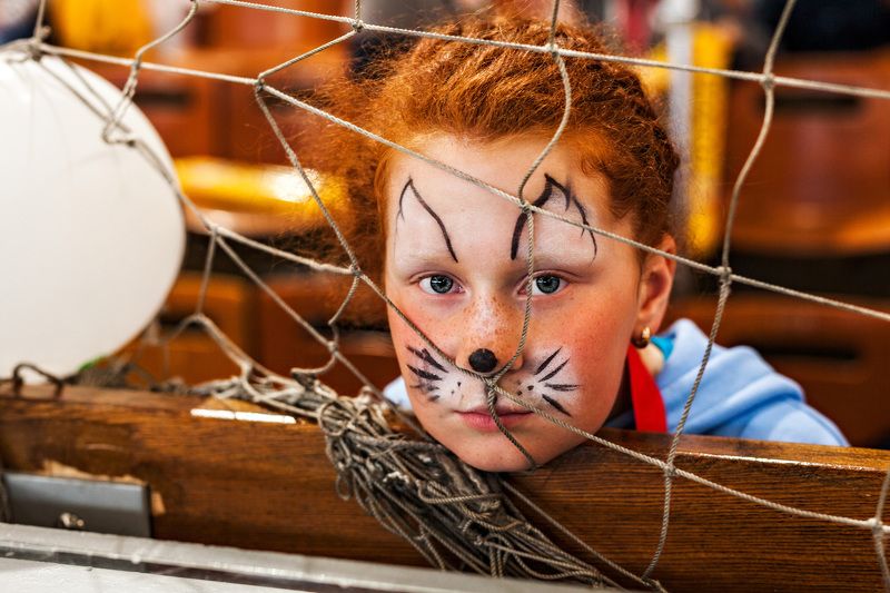 Лисичкаphoto preview