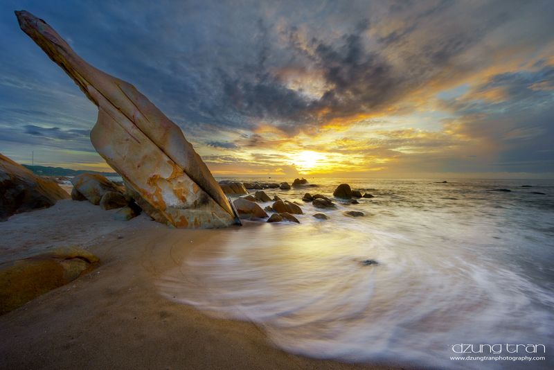 Ying Yang naturephoto preview