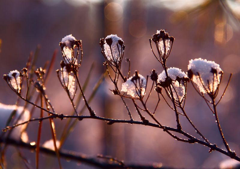 Фонариphoto preview