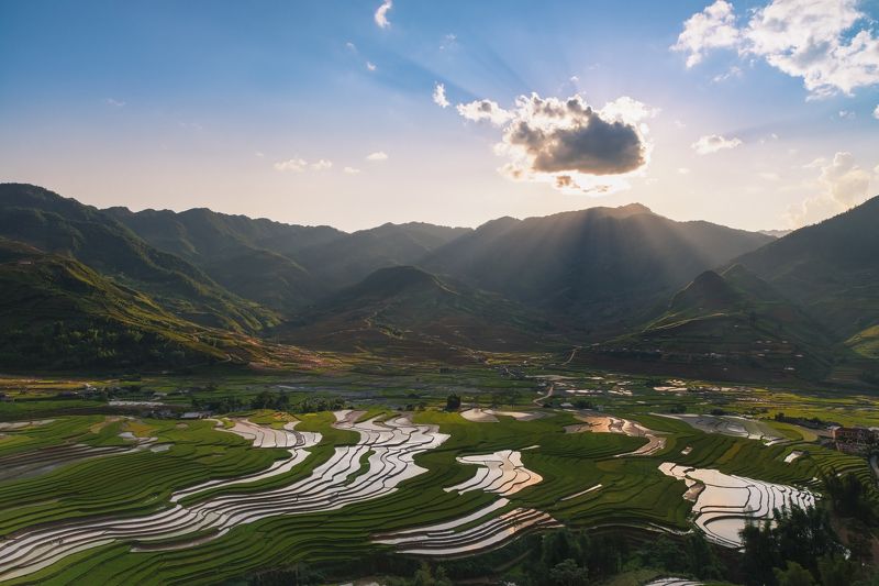 Cong Pham Chi applicationphoto preview