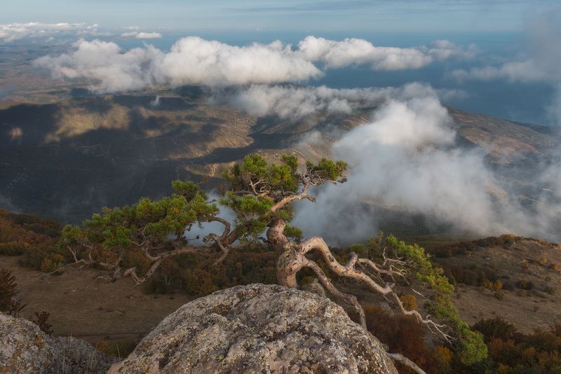 крым, горы, россия, пейзаж, природа, сосна, облака, высота, крымские горы, черное море, скалы, долина привидений, демерджи, туризм, путешествия, осень Невесомостьphoto preview