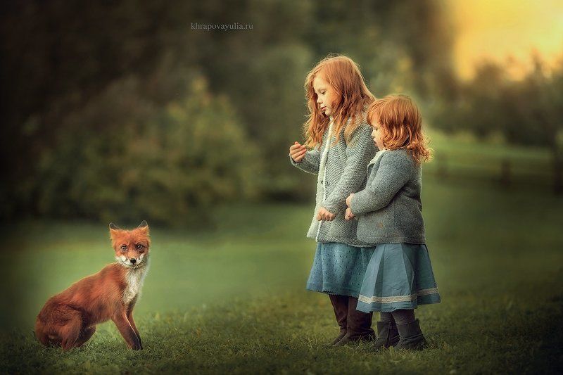 Рыжикиphoto preview