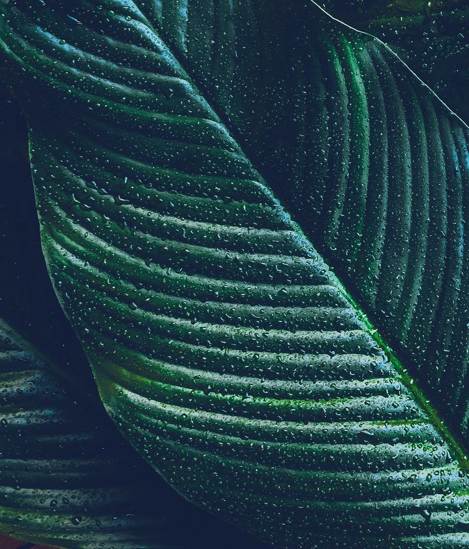 Текстура Текстура: фрагмент. Съёмки меню для Barbeque bar, Grand hotel Polyana, Сочиphoto preview