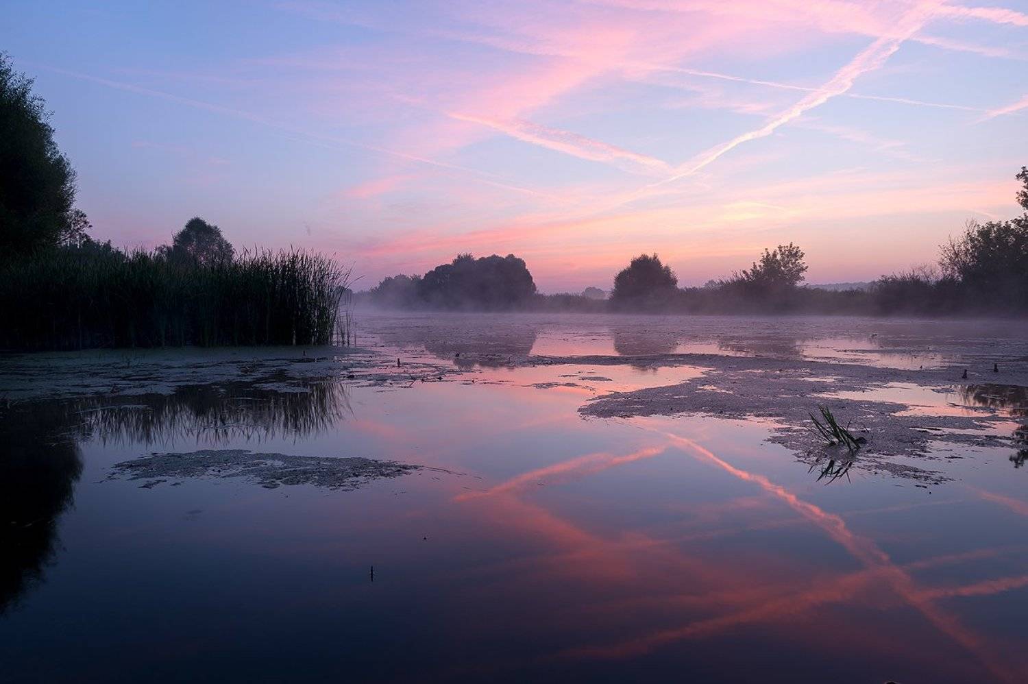 пейзаж,природа,утро,рассвет,лето,август,туман,россия,небо,облака, Юлия Лаптева