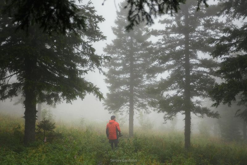 Урал, Южный Урал, Таганай В облачном лесу.photo preview