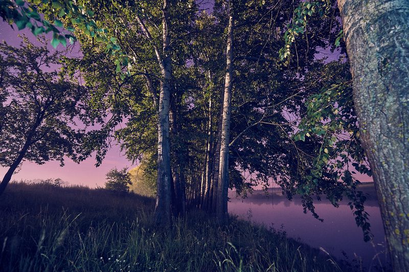 В Объятиях Ночиphoto preview