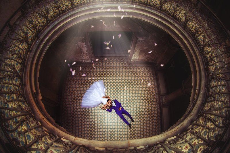 They ...photo preview