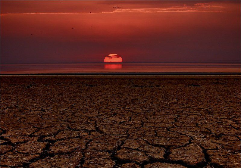 сиваш, закат, солнце, краски, пересохший лиман, трещины, птицы, красное, красота Уснул Сиваш, слабеет солнцеphoto preview