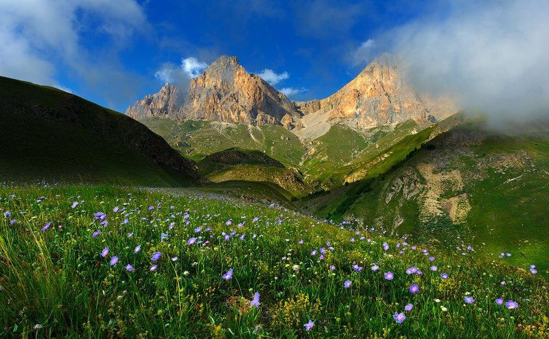 Свежий ветерphoto preview