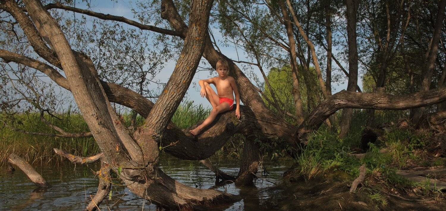 Маугли. Автор: modus2000 , modus2000