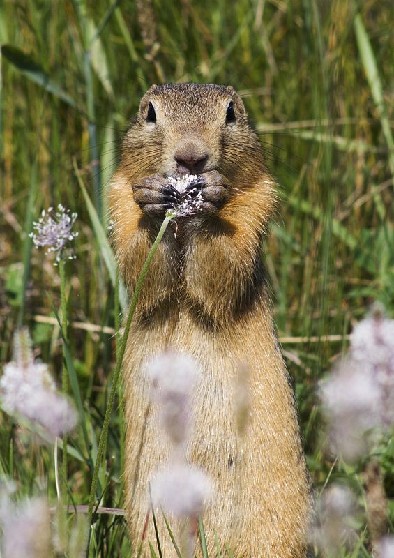 Время обедаphoto preview